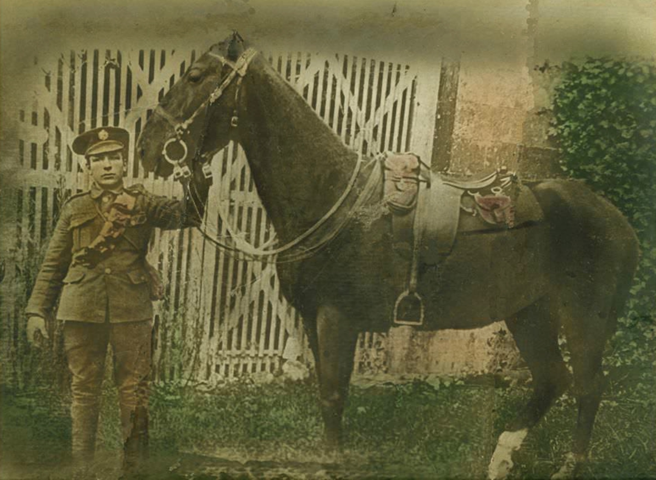 My Great-Grandfather with his Warhorse at the Battle of the Somme, 1916